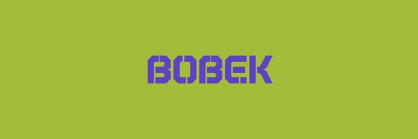 BOBEK Logo