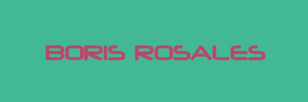 BORIS ROSALES Logo