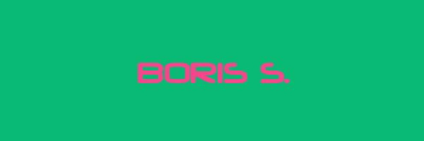 BORIS S. Logo