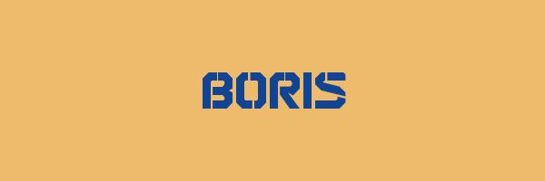 BORIS Logo