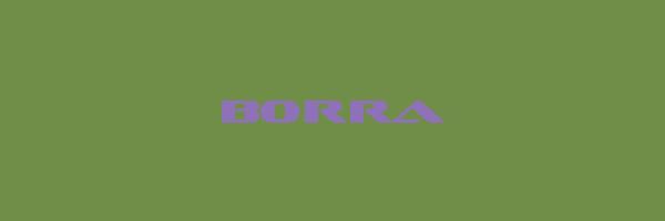 BORRA Logo