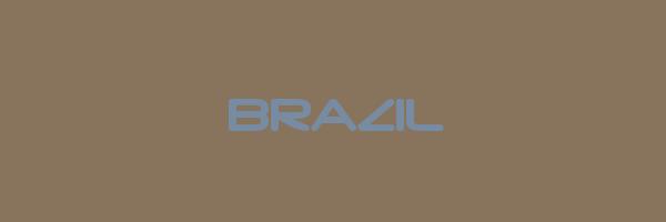 BRAZIL Logo