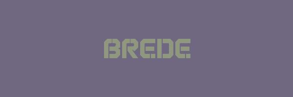 BREDE Logo