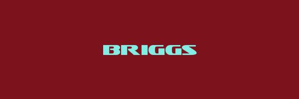 BRIGGS Logo