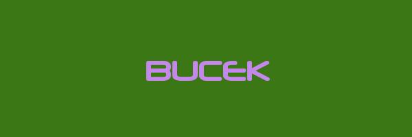 BUCEK Logo