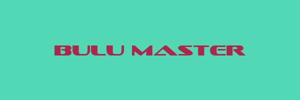BULU MASTER Logo
