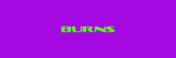 BURNS Logo