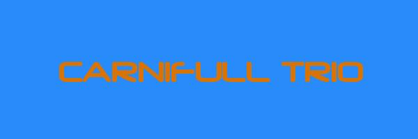 CARNIFULL TRIO Logo