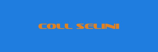 COLL SELINI Logo