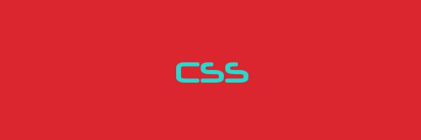 CSS Logo
