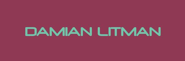 DAMIAN LITMAN Logo