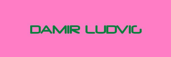 DAMIR LUDVIG Logo