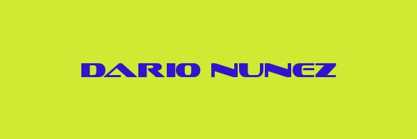 DARIO NUNEZ Logo