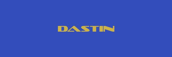 DASTIN Logo
