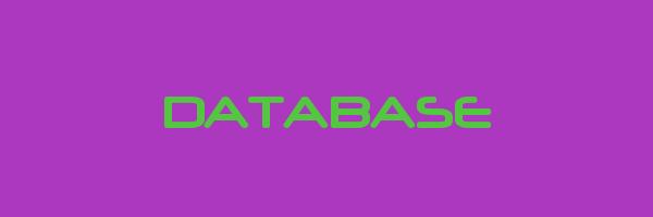 DATABASE Logo