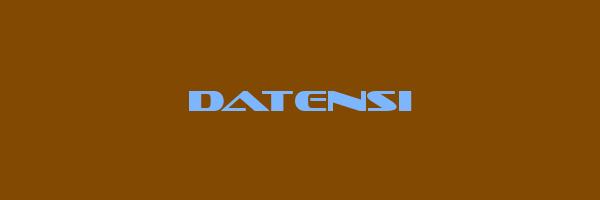DATENSI Logo