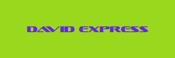 DAVID EXPRESS Logo