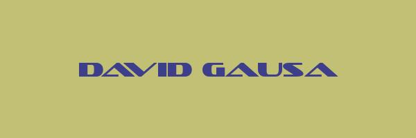 DAVID GAUSA Logo
