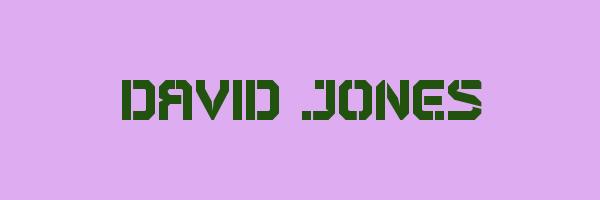 DAVID JONES Logo