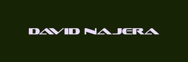 DAVID NAJERA Logo