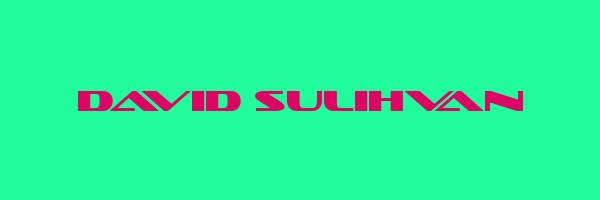 DAVID SULIHVAN Logo