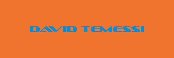 DAVID TEMESSI Logo