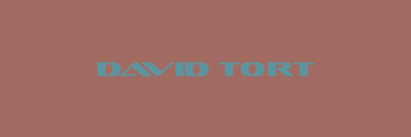 DAVID TORT Logo