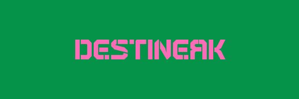 DESTINEAK Logo
