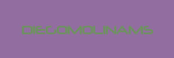 DIEGOMOLINAMS Logo