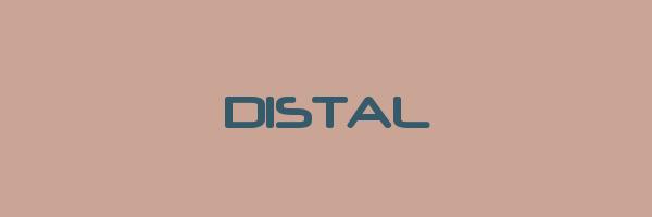DISTAL Logo