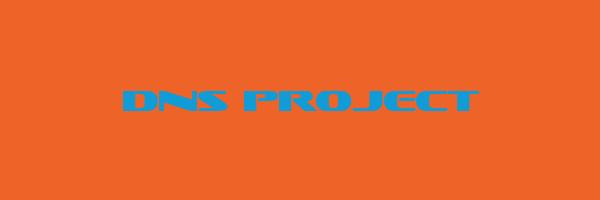 DNS PROJECT Logo