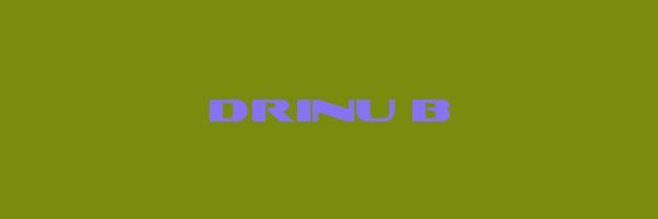 DRINU B Logo