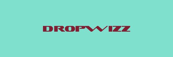 DROPWIZZ Logo