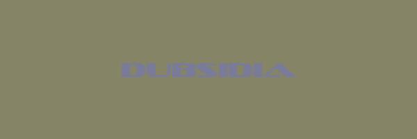 DUBSIDIA Logo