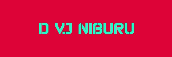 D VJ NIBURU Logo