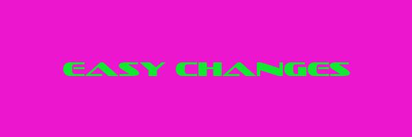 EASY CHANGES Logo