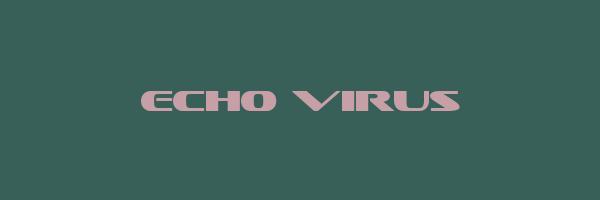 ECHO VIRUS Logo