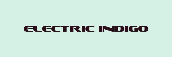 ELECTRIC INDIGO Logo
