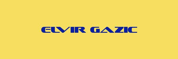 ELVIR GAZIC Logo