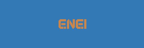 ENEI Logo