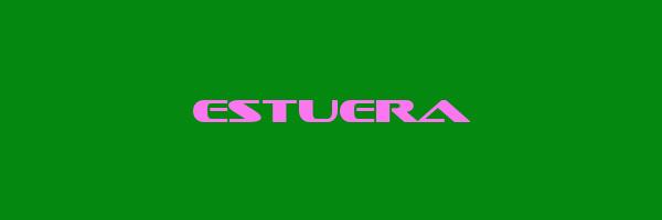 ESTUERA Logo