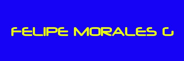 FELIPE MORALES G Logo