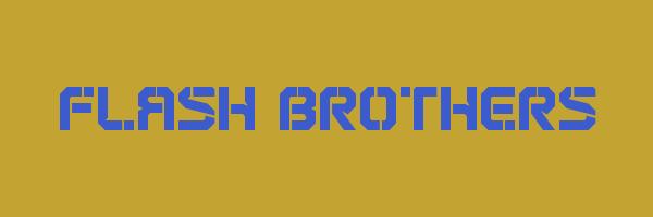FLASH BROTHERS Logo
