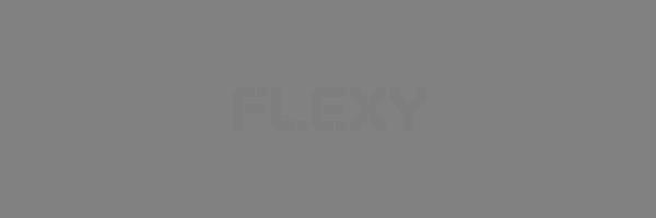 FLEXY Logo
