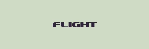 FLIGHT Logo