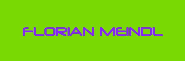 FLORIAN MEINDL Logo