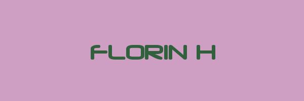 FLORIN H Logo