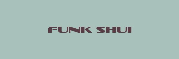 FUNK SHUI Logo