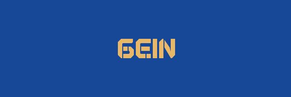 GEIN Logo