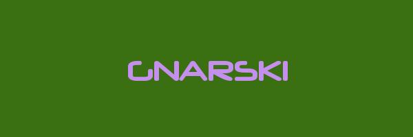 GNARSKI Logo